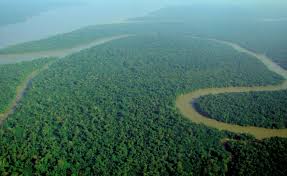 simpleGAMMA used to study aerosols over the Amazon rainforest