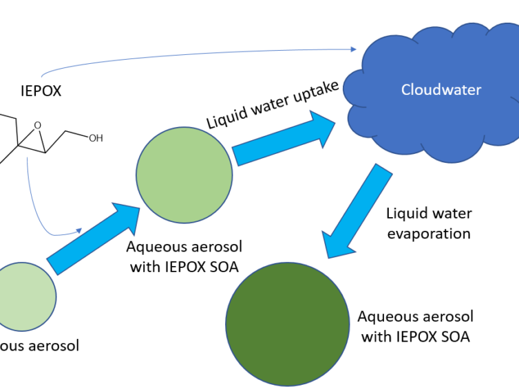 New Publication: Impact of Aerosol-Cloud Cycling on Aqueous Secondary Organic Aerosol Formation